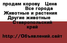 продам корову › Цена ­ 70 000 - Все города Животные и растения » Другие животные   . Ставропольский край